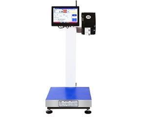 智能分揀電子秤的應(yīng)用優(yōu)勢(shì)介紹